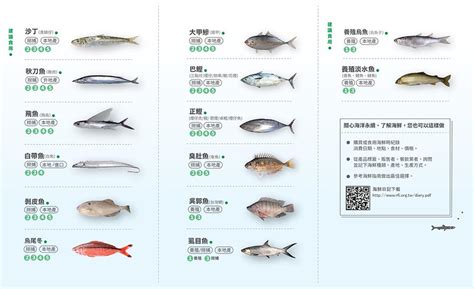 魚種查詢|台灣魚類資料庫